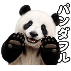 動く！動物のダジャレスタンプ