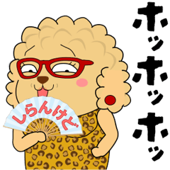 トイプーに転生した大阪のおばちゃん