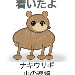 Pika Mountain Notes