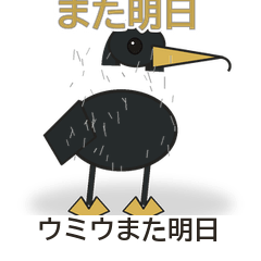 Cormorant Tomorrow Replies