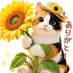 Calico cats can be used (Rainy summer)
