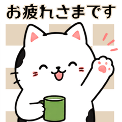 Cow Cat: Kind Compliments