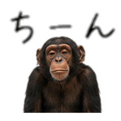 Negative Chimpanzee