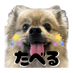 Hana_20260723170900