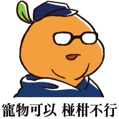 Ponkan is Not Allowed