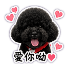 嚕米米小狗