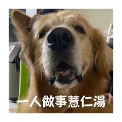 04. 焦糖表情包