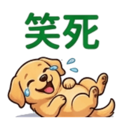 黃金亮亮：梗圖爆發的實用日常