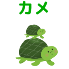 turtle animation version1