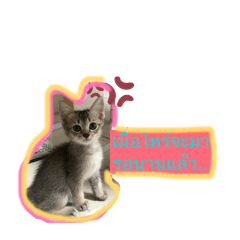 Beam Parichat_20260514232837