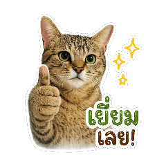 luckkykud