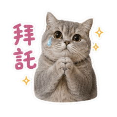 憨憨的黑皮