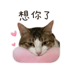 卡哇伊Miru