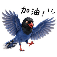 藍鵲生活日常