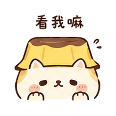 布丁燈貓｜想被注意