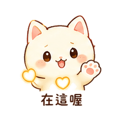 心燈貓|安靜關心