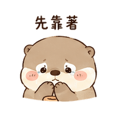 暖石獺｜低潮陪伴