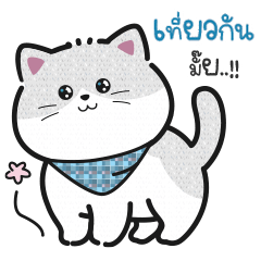 เหมียวน่ารัก "โมจิ"