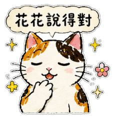 Huahua: Cat Philosophy