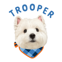 Westie Trooper