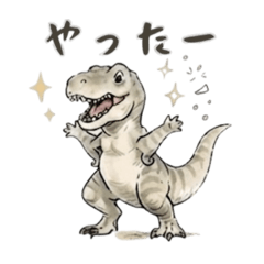 momo_20260724094929
