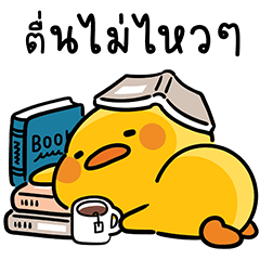 เป็ดเดวิด V.16