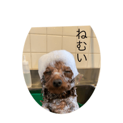 HANA_20260724204840
