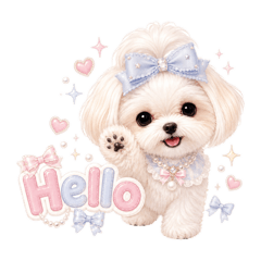 Dreamy Marcie the Maltese