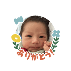 mametaro_20260725010224