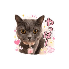 Hana_20260725111140