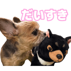 mayu_20260724223955