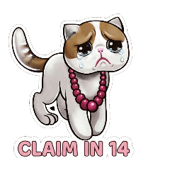silly-kitty