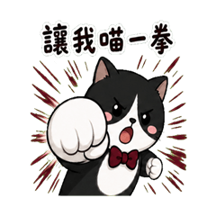 Tuxedo Cat CEO: Daily Moods