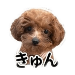 momo_20260725163037