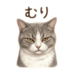 tuki_20260725193239