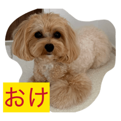 momo_20260725171214