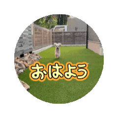 hana_20260725190418