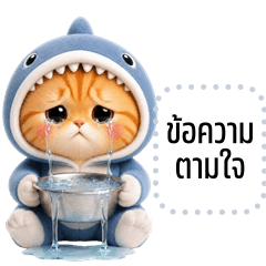 เปลี่ยนข้อความตามใจ: น้องแมวฉลาม
