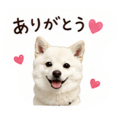 momo_20260725173115