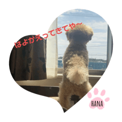 hana_20260725191447