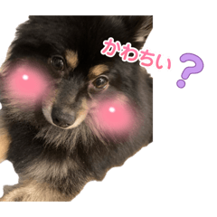 enmyo_20260725233424