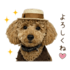 momo_20260725234623