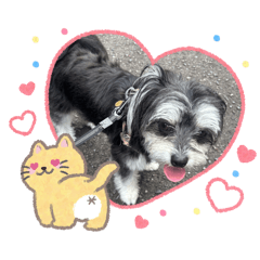yuka_20260726092717