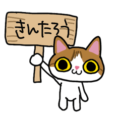 ねこ。金太郎