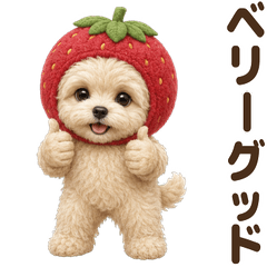 ダジャレ！ マルプー