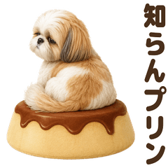 ダジャレ！ シーズー