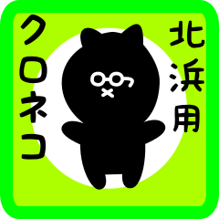 black cat sticker for kitahama