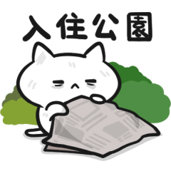 The little cat whit many expressions5
