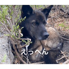 kenchan_20260726162605