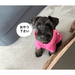 ayumi_20260726163336